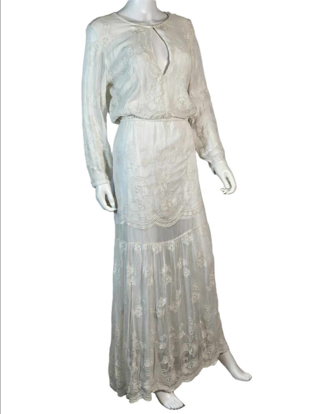 NWT Chelsea & Violet Ivory Embroidered Mesh Semi-Sheer Long Sleeve Maxi Dress - Picture 11 of 16